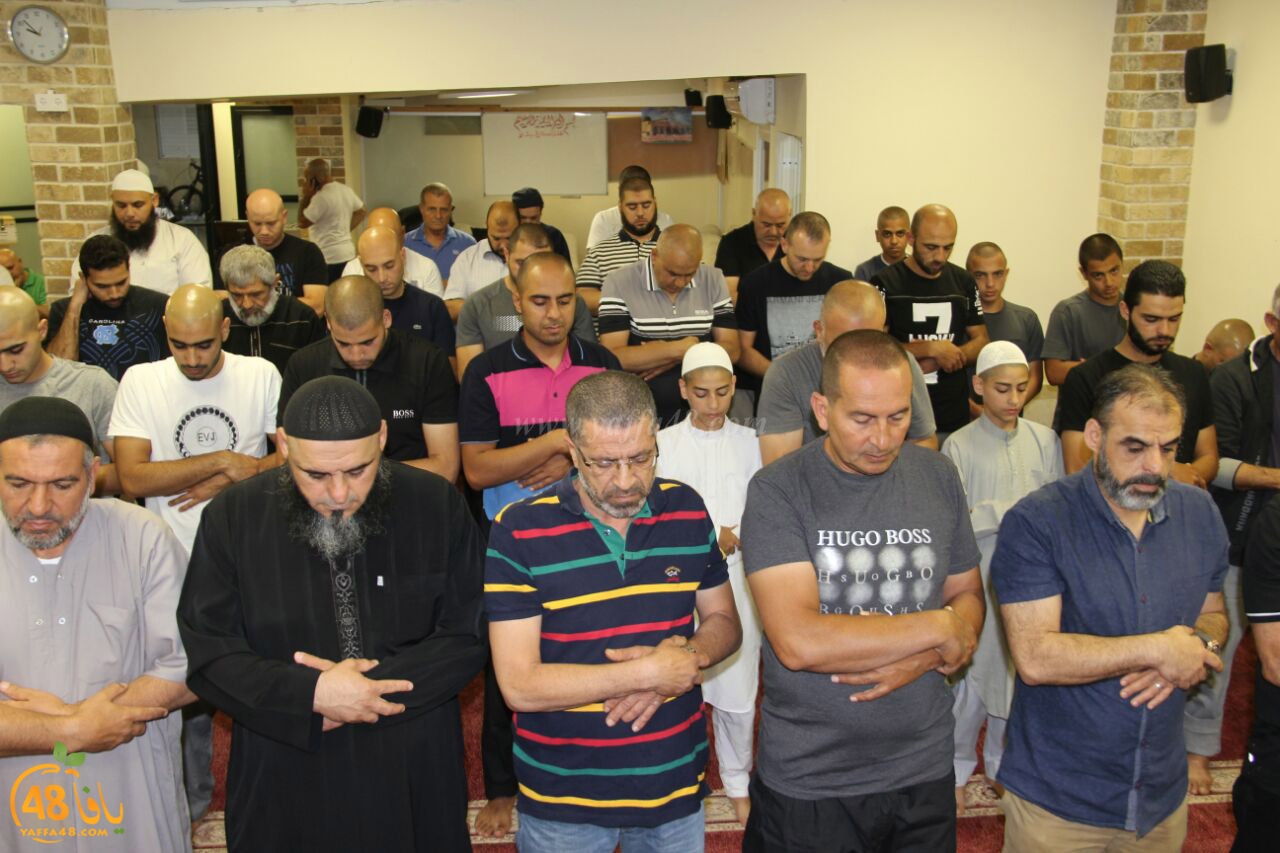 trawe7 mohamed fateh (18).jpg